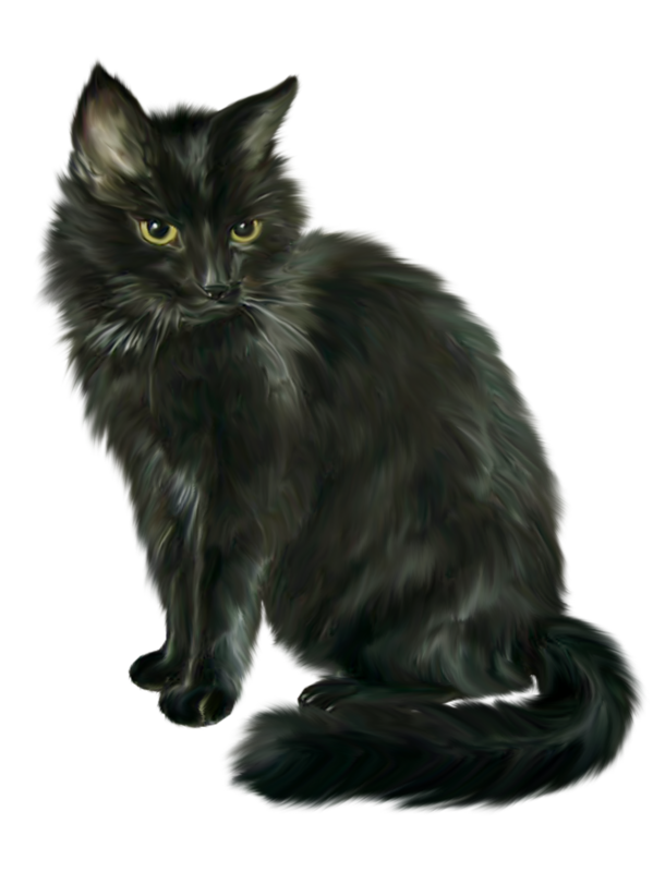 Siamese cat Black cat Halloween Clip art - Black cat png download - 599 ...