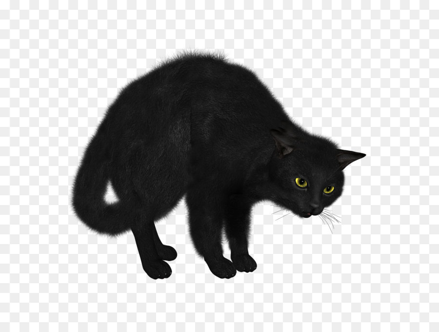 Siamese cat Kitten Black cat Cat food - Black Cat PNG image png download - 1490*1520 - Free Transparent Cat png Download.