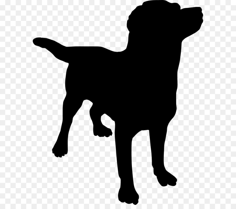 Dog Silhouette Clip art - dog png image, picture, download, dogs png download - 662*800 - Free Transparent Labrador Retriever png Download.