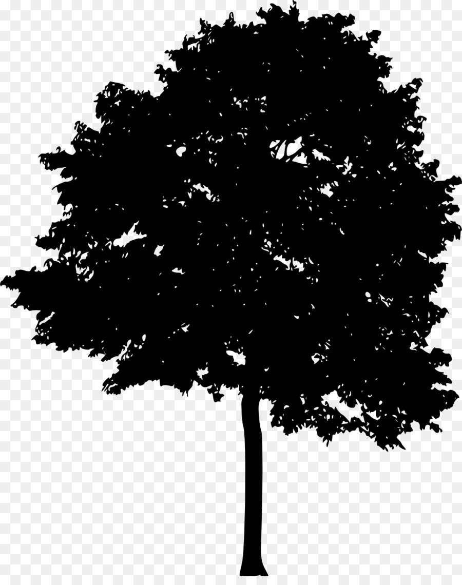 Tree Light Woody plant Silhouette - tree silhouette png download - 962*1200 - Free Transparent Tree png Download.