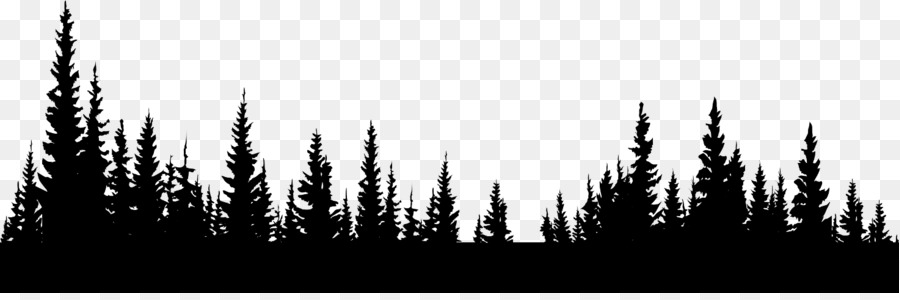 Forest Information Clip art - forest png download - 1472*480 - Free Transparent Forest png Download.