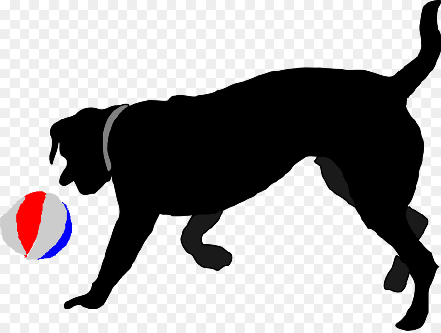 Labrador Retriever Puppy Ball Clip art - Black dog png download - 1280*960 - Free Transparent Labrador Retriever png Download.