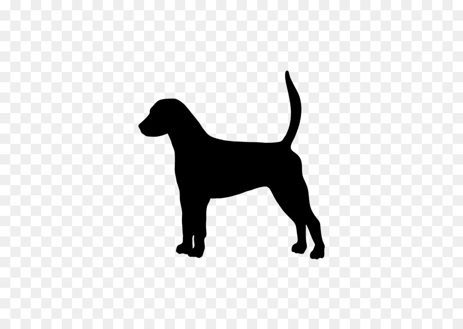 Labrador Retriever Puppy Dog breed English Foxhound American Foxhound - puppy png download - 640*640 - Free Transparent Labrador Retriever png Download.