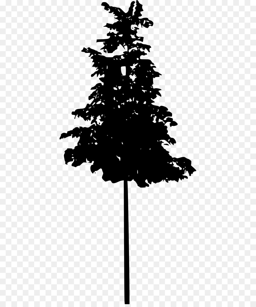 Spruce Fir Pine Silhouette Black and white - Silhouette png download - 481*1070 - Free Transparent Spruce png Download.