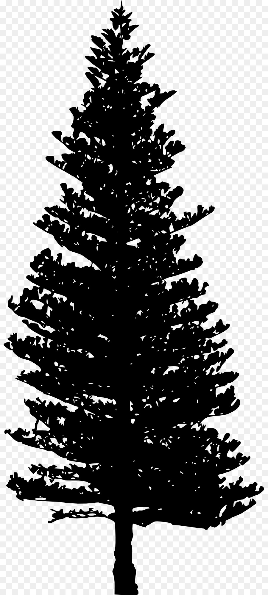Tsuga heterophylla Pine Tree Clip art - black and white png download - 875*2000 - Free Transparent Tsuga Heterophylla png Download.