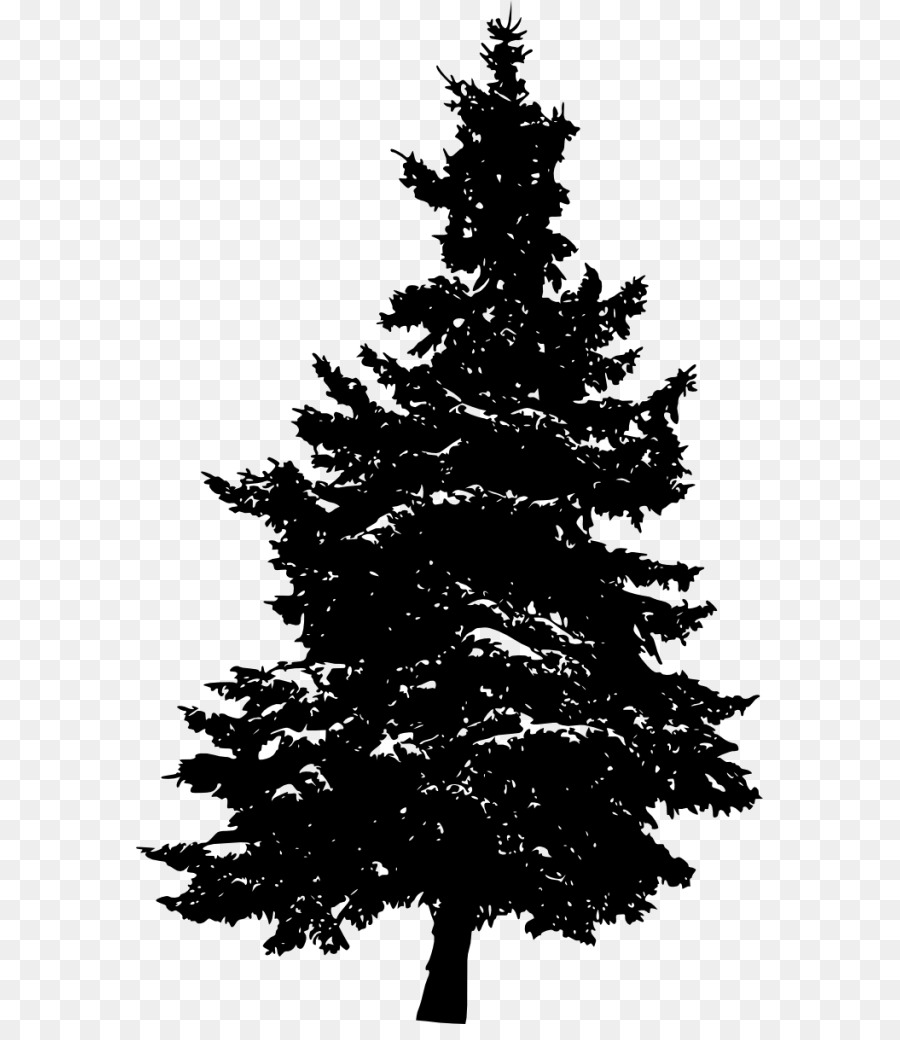 Pine Silhouette Fir Tree - pine tree png download - 627*1024 - Free Transparent Pine png Download.