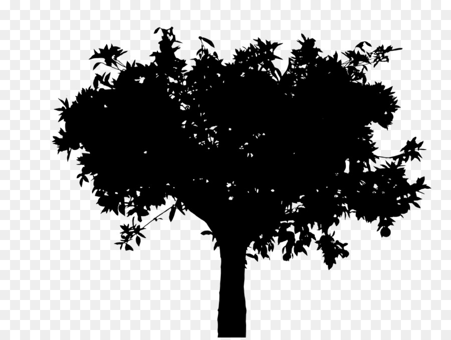 Silhouette Tree Vector graphics Twig Oak -  png download - 960*720 - Free Transparent Silhouette png Download.