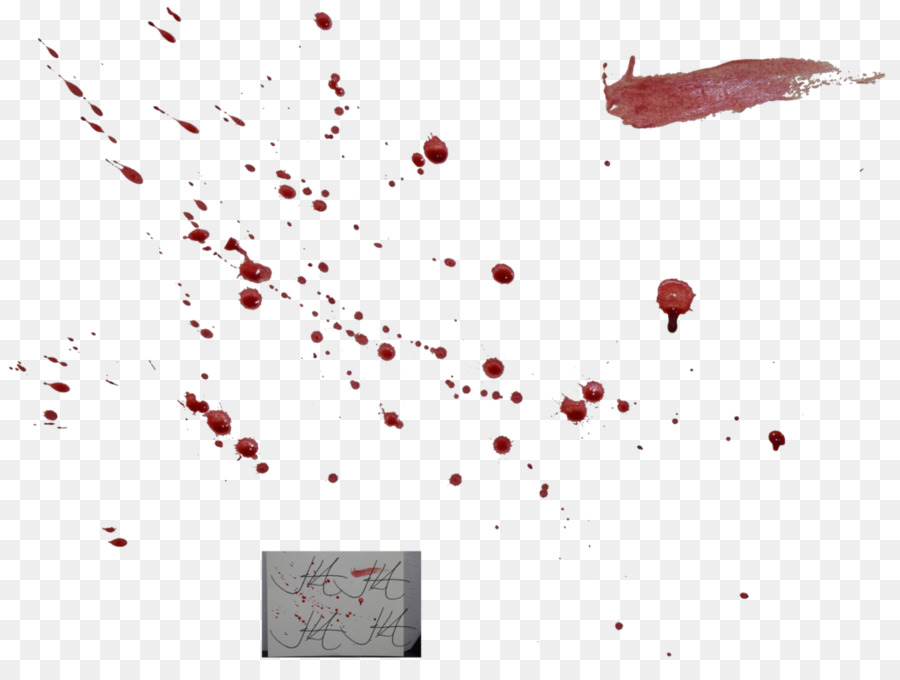 Bloodstain pattern analysis Red - Blood Splatter Png png download - 1024*763 - Free Transparent Blood png Download.
