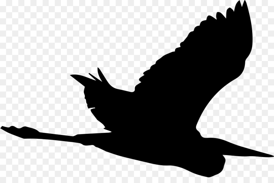 Crane Bird Great blue heron Silhouette - crane png download - 981*634 - Free Transparent Crane png Download.
