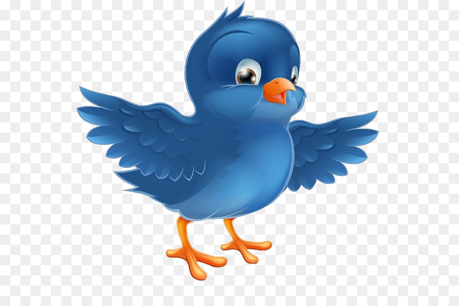 Bluebird Clip art - blue bird png download - 600*600 - Free Transparent Bird png Download.