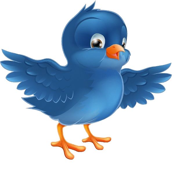 Bluebird Clip Art Blue Bird Png Download 600600 Free Transparent