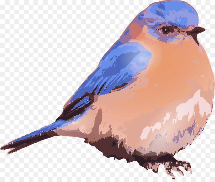 Eastern bluebird Bluebird of happiness Clip art - blue bird png download - 2400*2000 - Free Transparent Bird png Download.