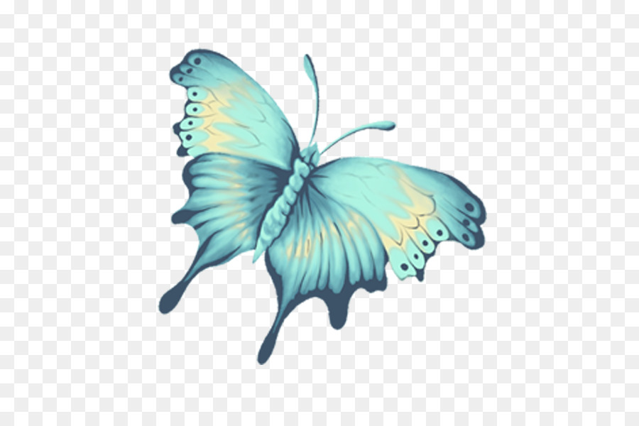 Monarch butterfly Blue - butterfly png download - 591*591 - Free Transparent Butterfly png Download.