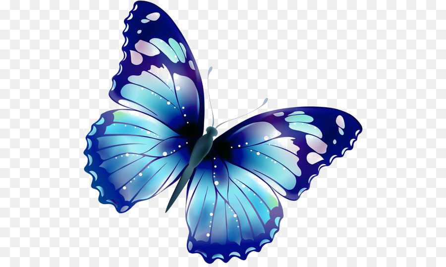 Butterfly Clip art - blue butterfly png download - 564*535 - Free Transparent Butterfly png Download.