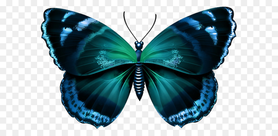 Butterfly Clip art - Blue Butterfly Transparent PNG Image png download - 930*614 - Free Transparent Butterfly png Download.