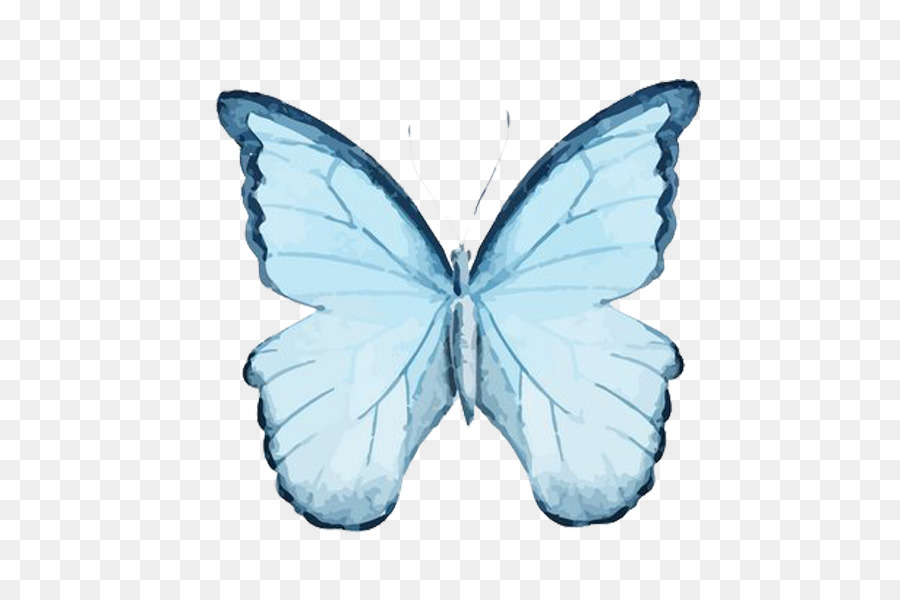 Butterfly Watercolor painting Drawing Illustration - Blue Butterfly Free to pull the material png download - 600*600 - Free Transparent Butterfly png Download.