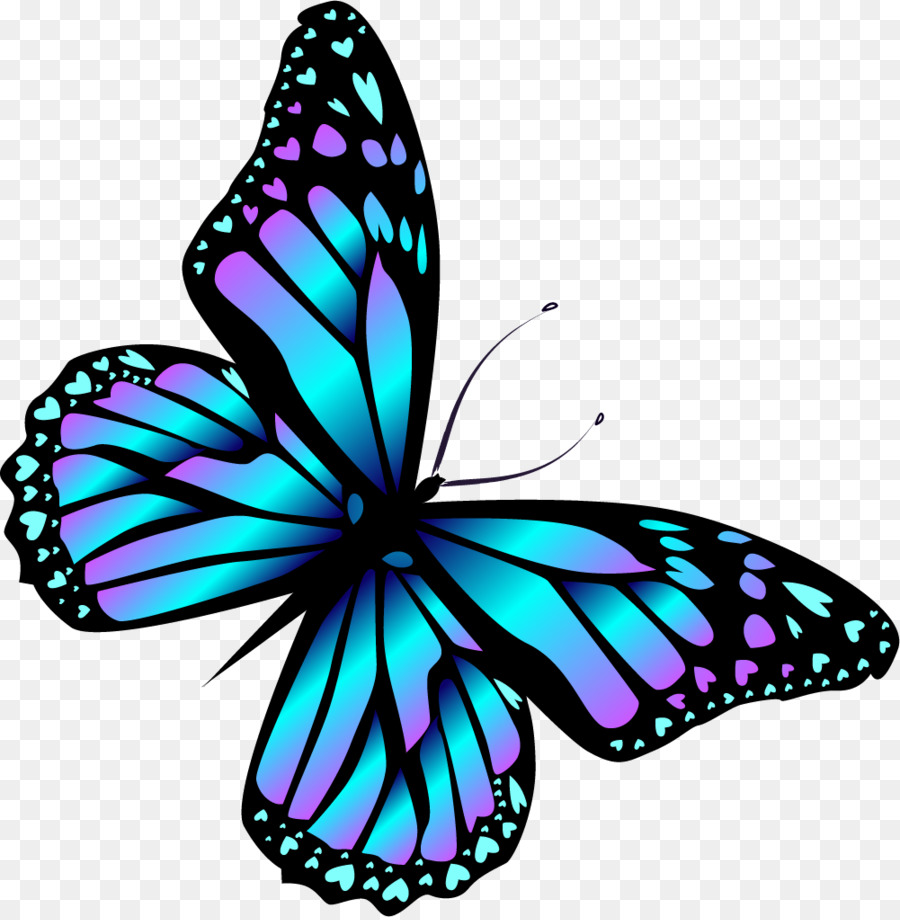 Monarch butterfly Cartoon Blue - Cartoon blue butterfly png download - 1001*1020 - Free Transparent Monarch Butterfly png Download.