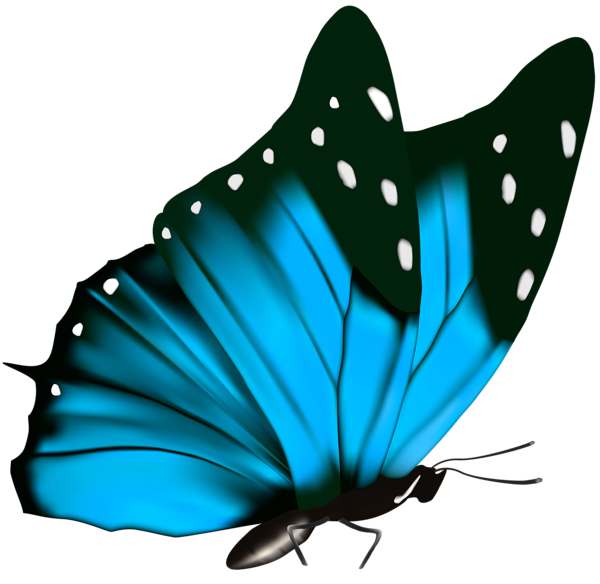 Butterfly Green Greta oto Clip art - blue butterfly png download - 600* ...