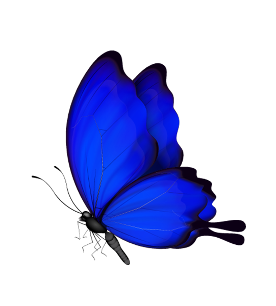 Download Blue Butterfly Clipart Png Photo Transparent Png Full Size Images