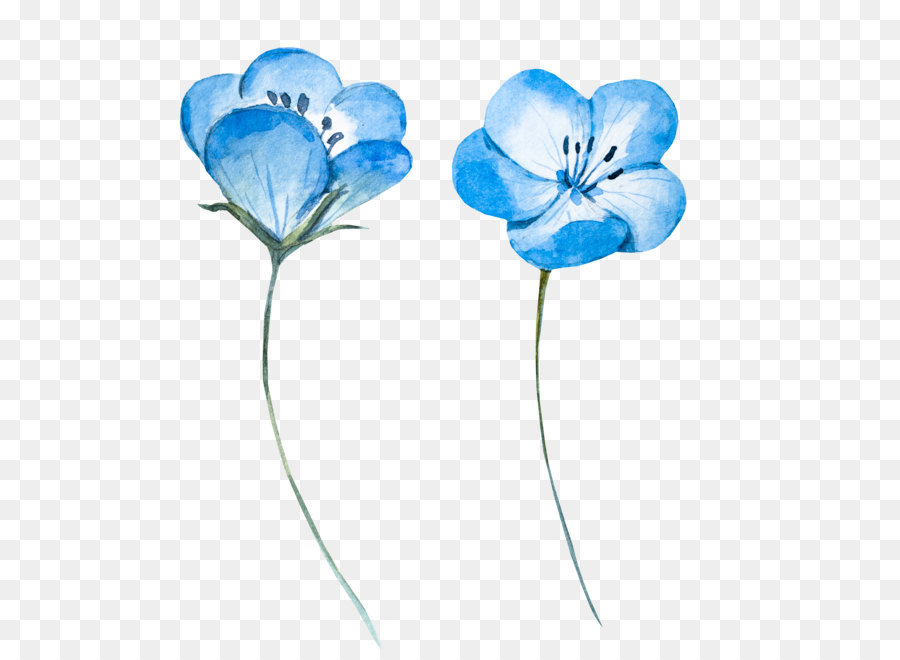 Watercolor painting Blue Flower - Light blue watercolor flowers png download - 5000*5000 - Free Transparent Watercolour Flowers png Download.