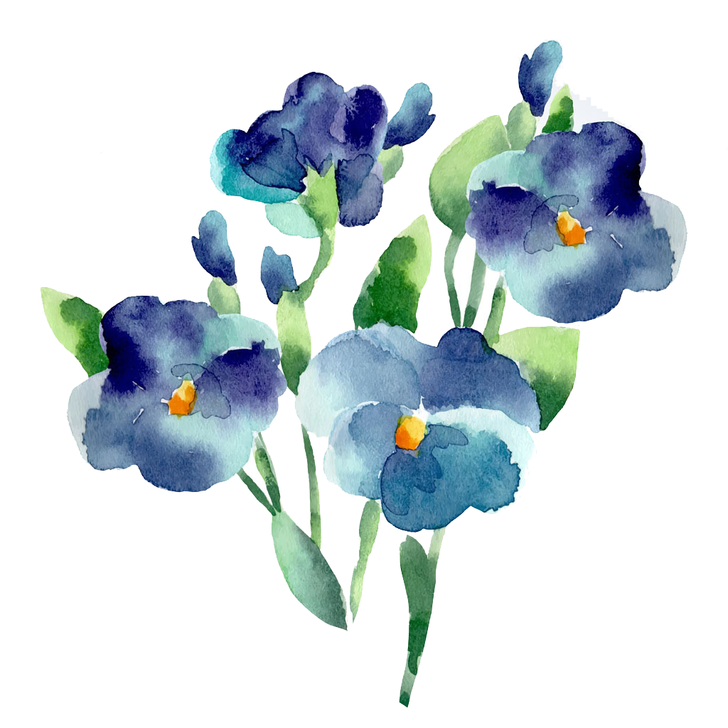 blue flowers watercolor png
