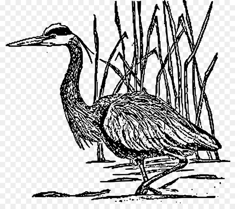 Bird Great blue heron Wildlife Clip art - great clipart png download - 1000*870 - Free Transparent Bird png Download.