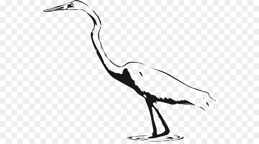 Great egret Great blue heron Bird Crane Clip art - Crane Cliparts png download - 600*492 - Free Transparent Great Egret png Download.