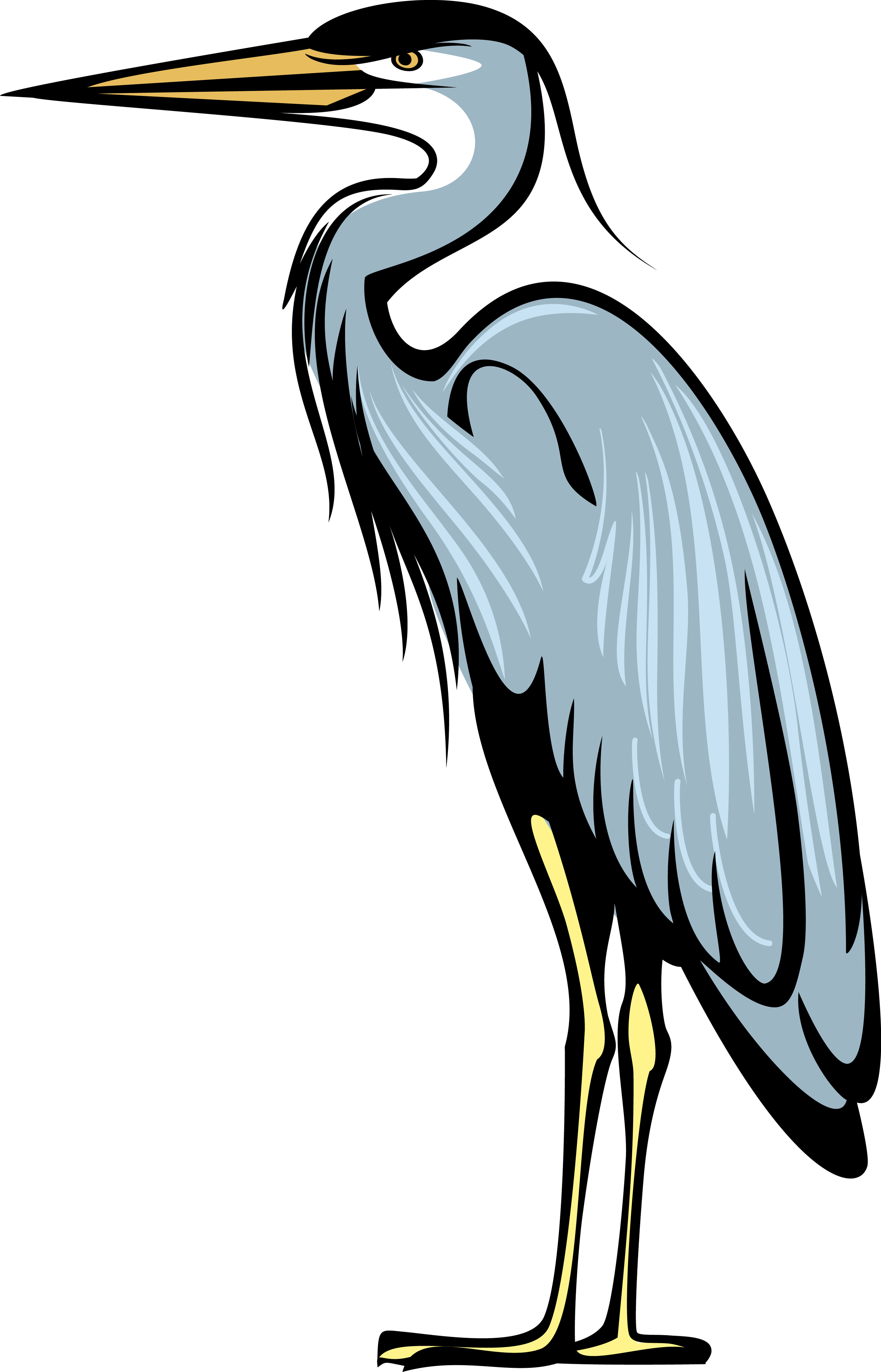 Great blue heron Bird Crane Heraldry - coat png download - 2999*4671 ...