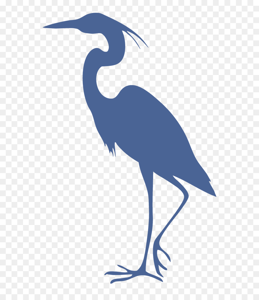 Great blue heron Grey heron Bird Cleaning - billboard background png download - 615*1025 - Free Transparent Great Blue Heron png Download.