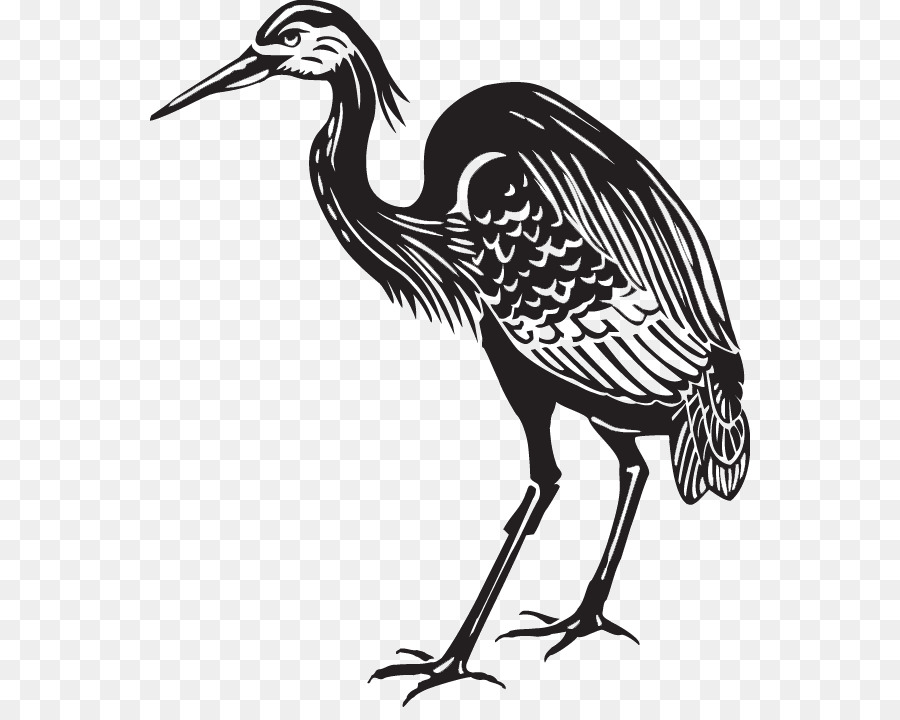 Great blue heron Crane Bird Clip art - crane png download - 600*707 - Free Transparent Heron png Download.