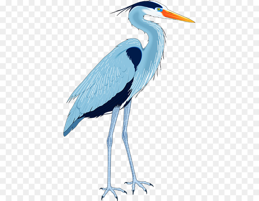 Great blue heron Drawing Clip art - others png download - 459*700 - Free Transparent Heron png Download.