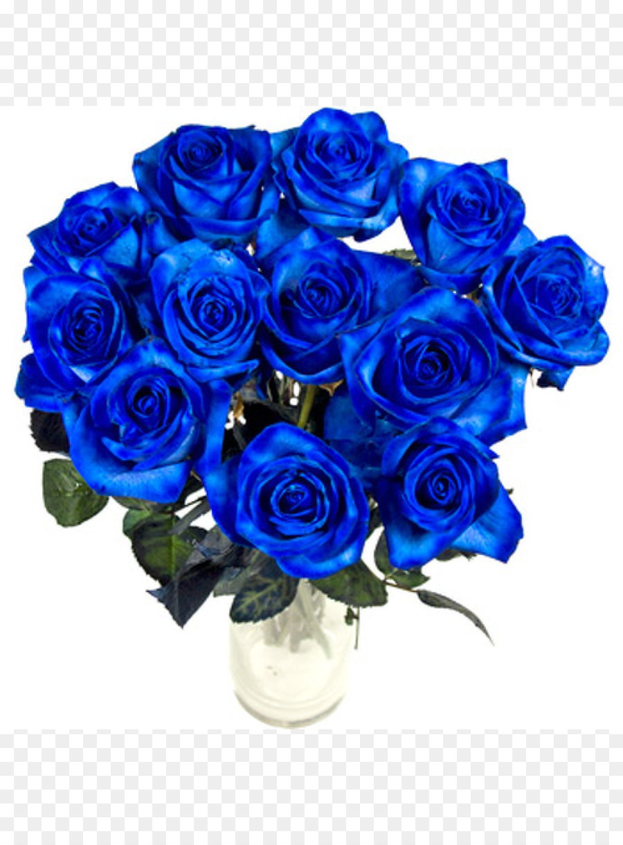 Blue rose Cut flowers - blue rose png download - 1000*1340 - Free Transparent Blue Rose png Download.
