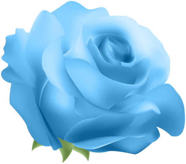 Blue rose Flower Clip art - blue rose png download - 600*528 - Free ...