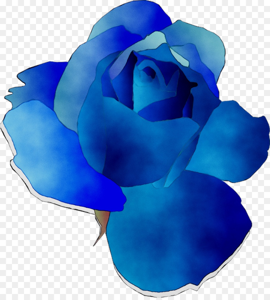 Blue rose Garden roses Cut flowers -  png download - 1008*1112 - Free Transparent Blue Rose png Download.