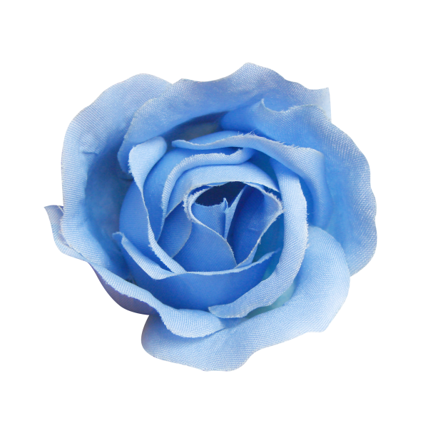 Blue rose Beach rose Centifolia roses - Blue Rose png download - 600* ...