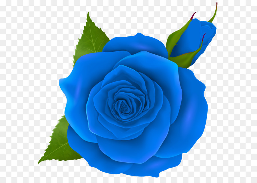 Rose Pink Clip art - Blue Rose and Bud Transparent PNG Clip Art png download - 8000*7724 - Free Transparent Centifolia Roses png Download.