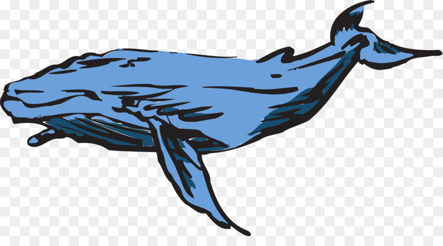 Blue Whale Clip art - whale png download - 1920*1025 - Free Transparent Blue Whale png Download.