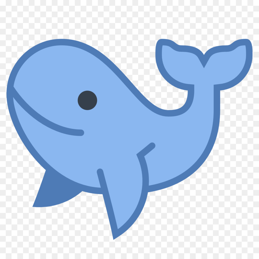 Blue Whale Computer Icons Humpback whale - whale png download - 1600*1600 - Free Transparent Whale png Download.