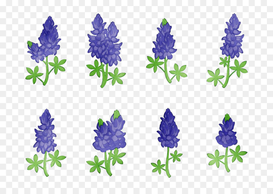 Bluebonnet Purple Lavender Cut flowers Tree -  png download - 1721*1205 - Free Transparent Bluebonnet png Download.
