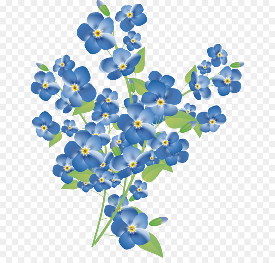 Clip art Flower Scorpion grasses Royalty-free Blue - bluebonnet drawing png gif file png download - 700*844 - Free Transparent Flower png Download.