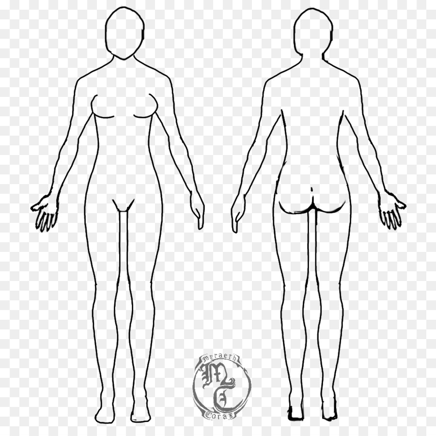Female body shape Human body Diagram Drawing Woman - family linear fashion figures png download - 800*881 - Free Transparent  png Download.