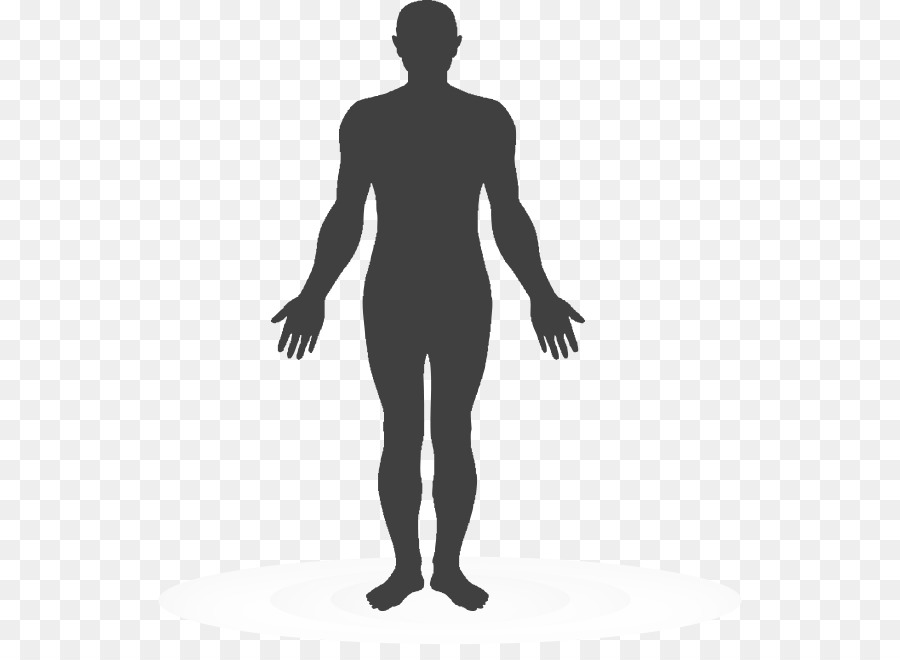 Body Image PNG Transparent Images Free Download, Vector Files