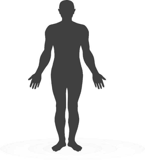 human body 142591 - Free Download - silhouetteAC