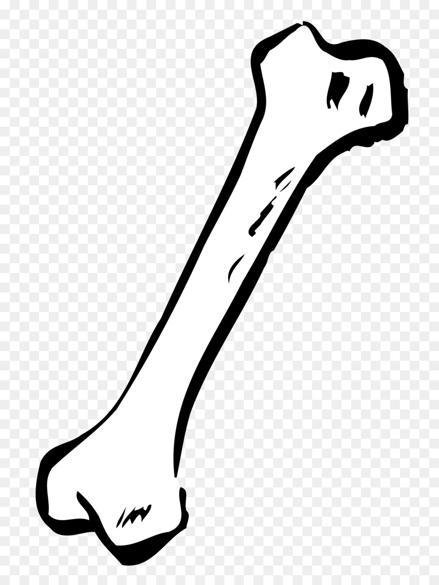 Dog Bone Human skeleton Clip art - bone png download - 830*1195 - Free Transparent  png Download.