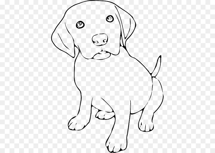 Labrador Retriever Puppy Beagle Border Collie Clip art - dog Sketch png download - 471*640 - Free Transparent Labrador Retriever png Download.