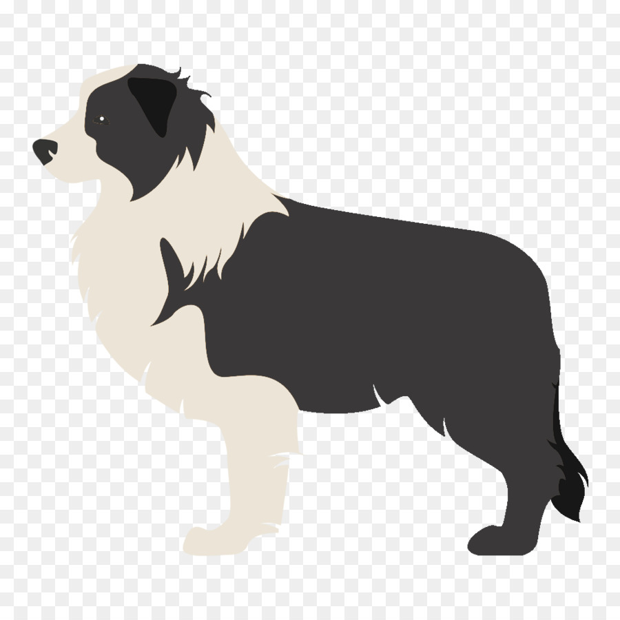 Border Collie Rough Collie Scotch Collie Old English Sheepdog - puppy png download - 1000*1000 - Free Transparent Border Collie png Download.