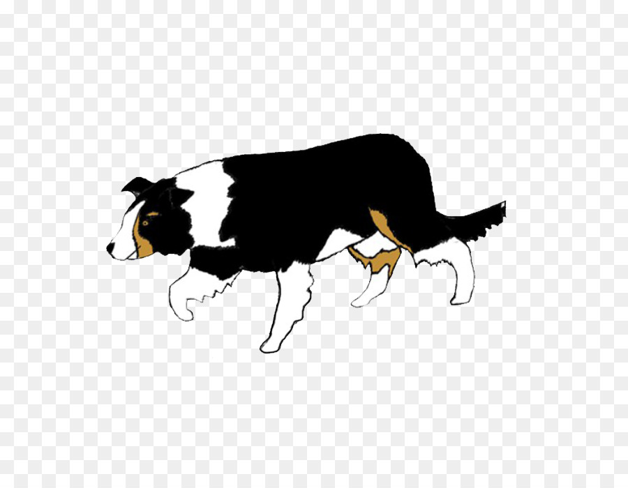 Dog breed Border Collie Rough Collie Clip art - others png download - 740*689 - Free Transparent Dog Breed png Download.