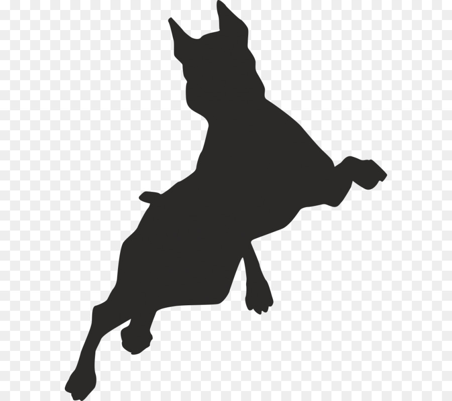 Border Collie Puppy Free jumping Clip art - puppy png download - 800*800 - Free Transparent Border Collie png Download.