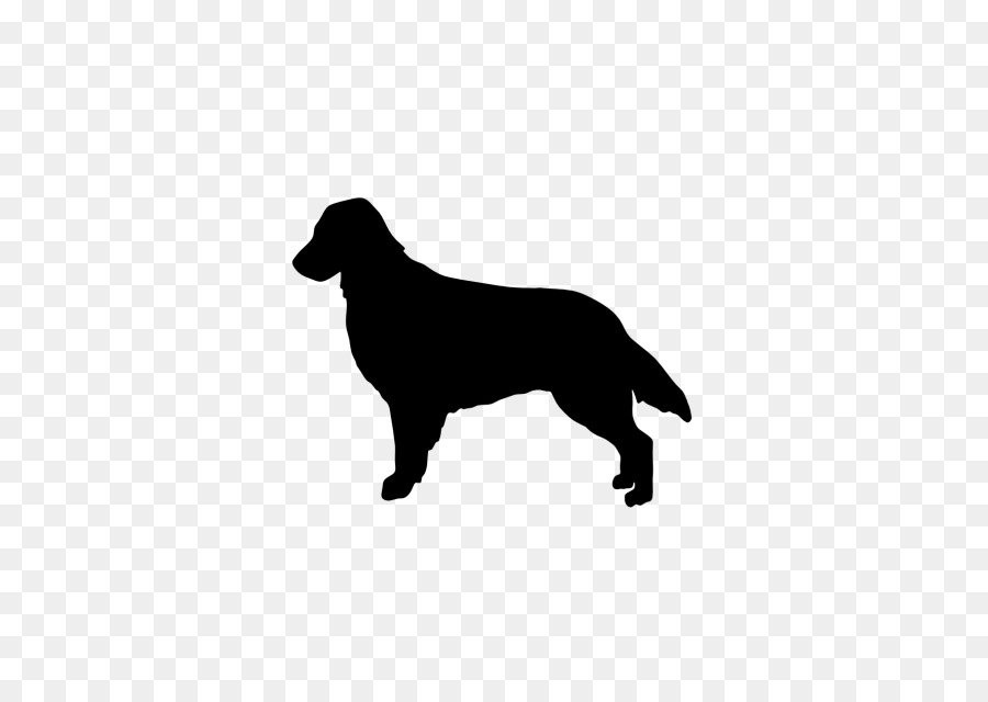 Rottweiler Flat-Coated Retriever Golden Retriever Border Collie Labrador Retriever - Flat Coat Retriever png download - 640*640 - Free Transparent Rottweiler png Download.