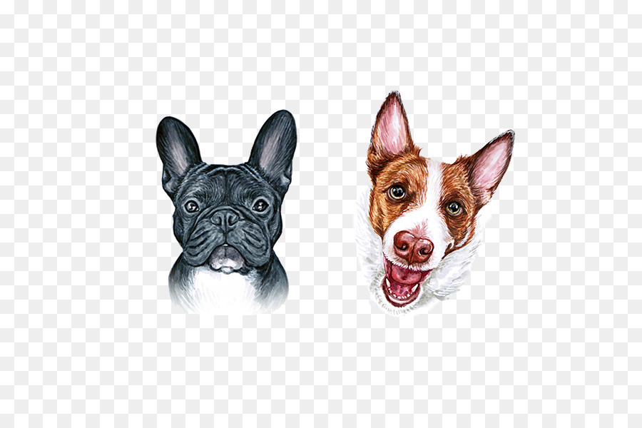 Boston Terrier French Bulldog Dog breed - Cute dog mouth png download - 600*600 - Free Transparent Boston Terrier png Download.